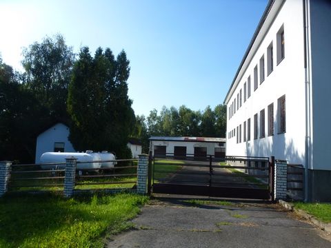 Foto 94